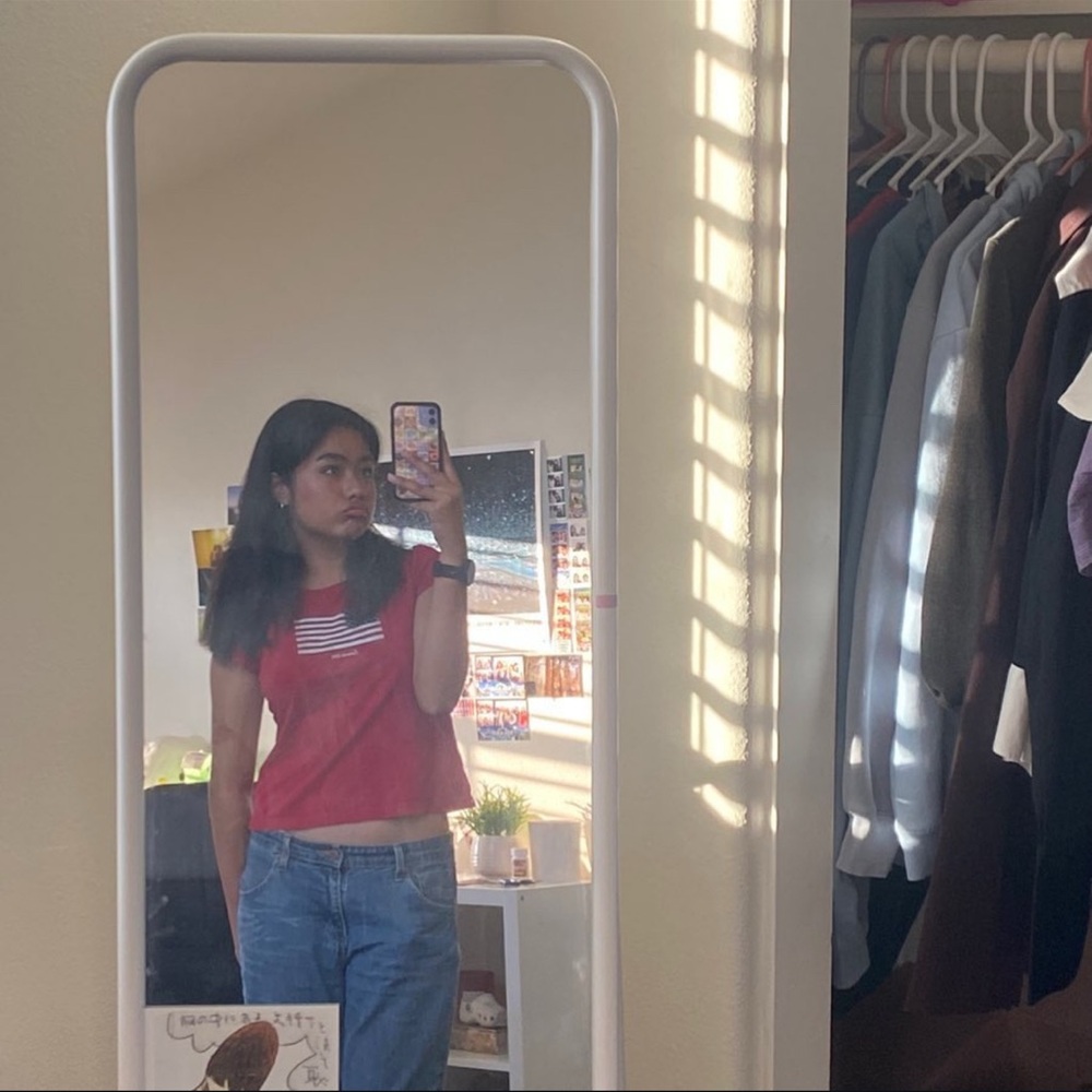 Red America Crop Top